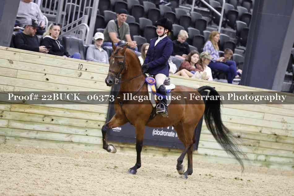Proof 22BUCK_06373