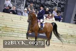 22BUCK_06373 proof