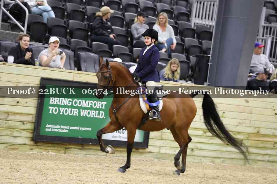 Proof 22BUCK_06374