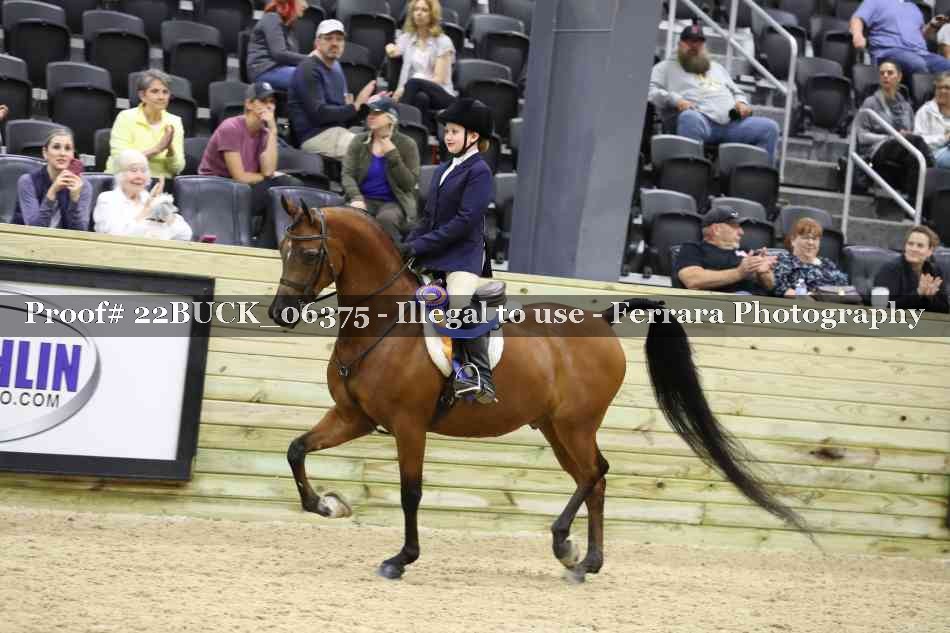 Proof 22BUCK_06375