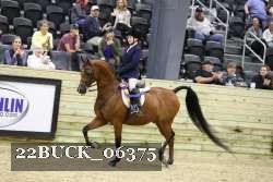 22BUCK_06375 proof