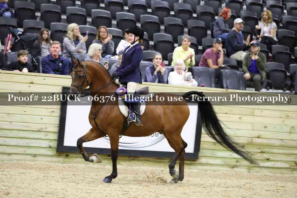 Proof 22BUCK_06376