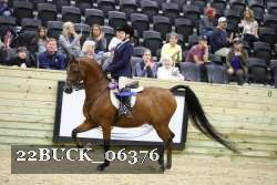 22BUCK_06376 proof
