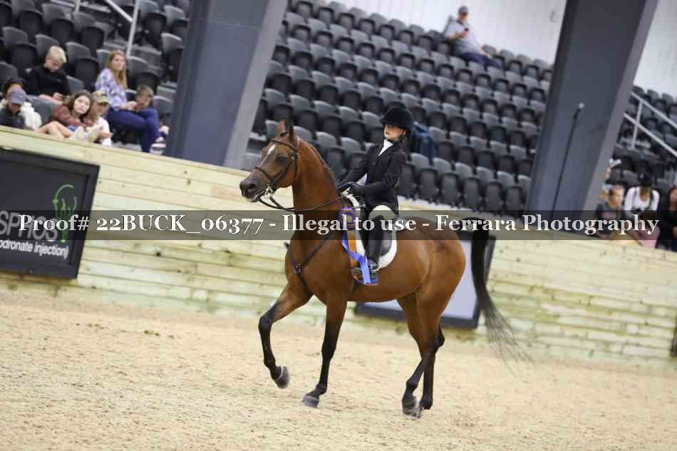 Proof 22BUCK_06377