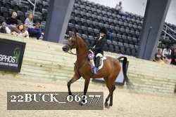 22BUCK_06377 proof