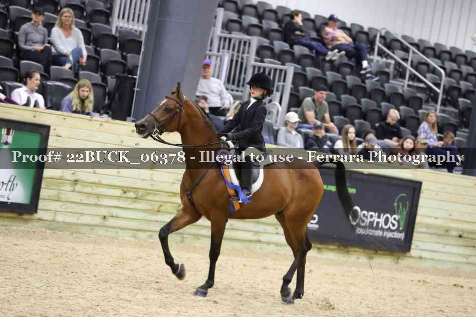 Proof 22BUCK_06378
