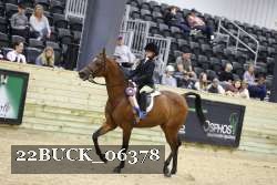 22BUCK_06378 proof