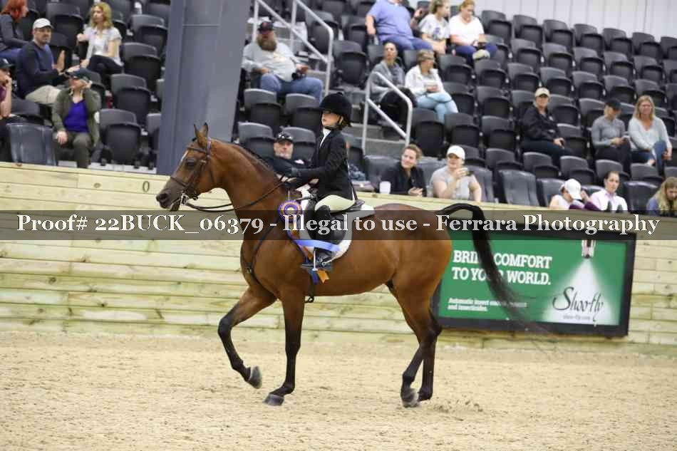 Proof 22BUCK_06379