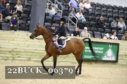 22BUCK_06379 proof
