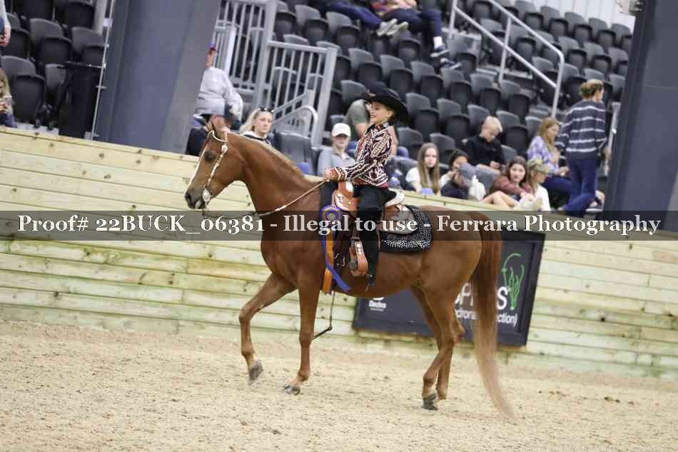 Proof 22BUCK_06381