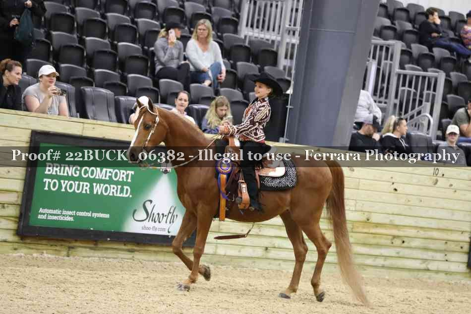 Proof 22BUCK_06382