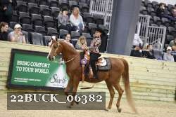 22BUCK_06382 proof