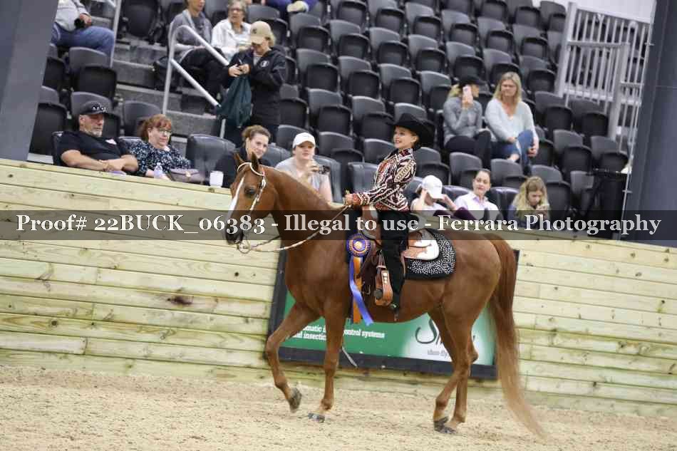 Proof 22BUCK_06383
