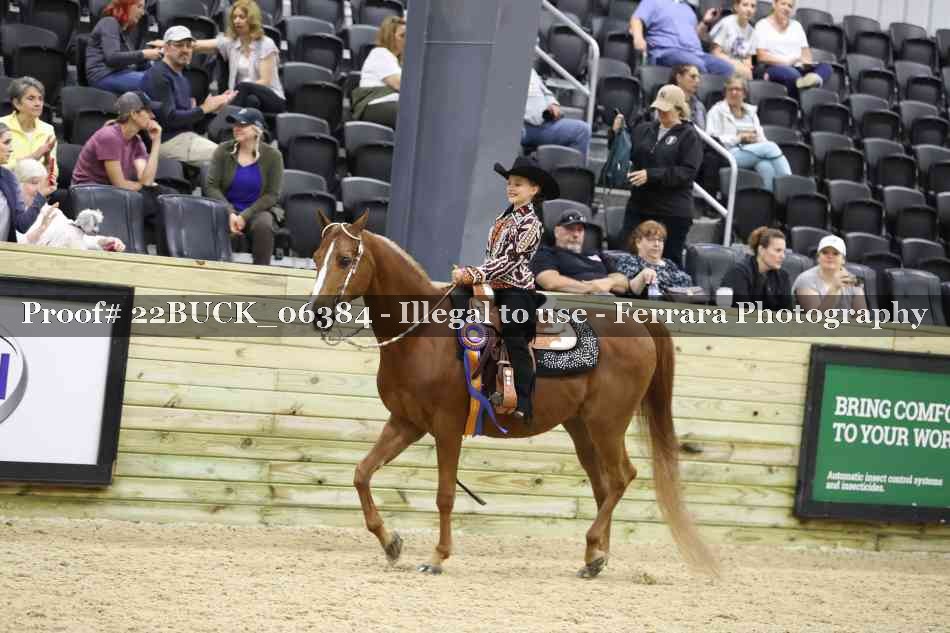 Proof 22BUCK_06384