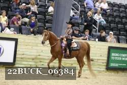 22BUCK_06384 proof