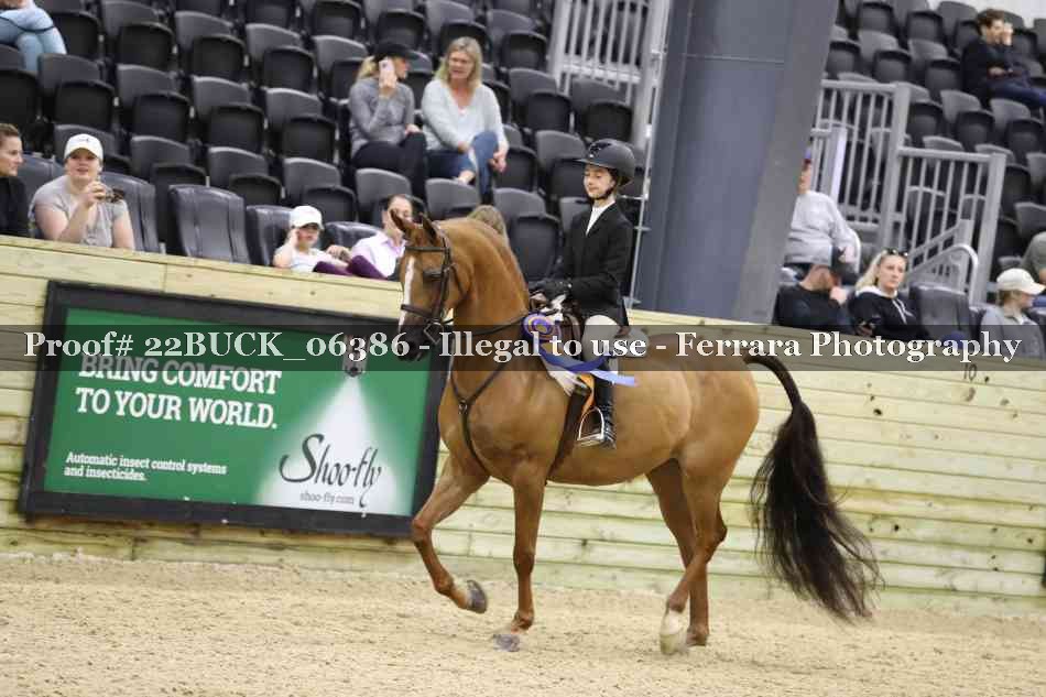 Proof 22BUCK_06386