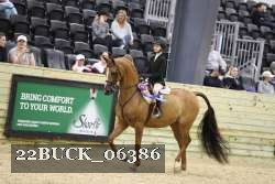 22BUCK_06386 proof