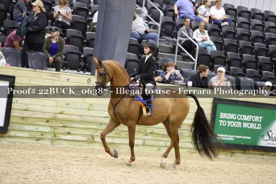 Proof 22BUCK_06387