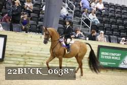 22BUCK_06387 proof