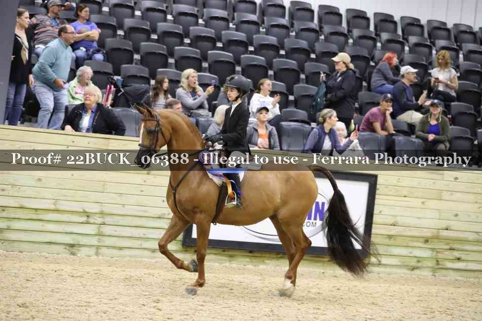 Proof 22BUCK_06388