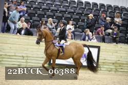 22BUCK_06388 proof