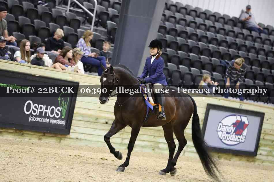 Proof 22BUCK_06390