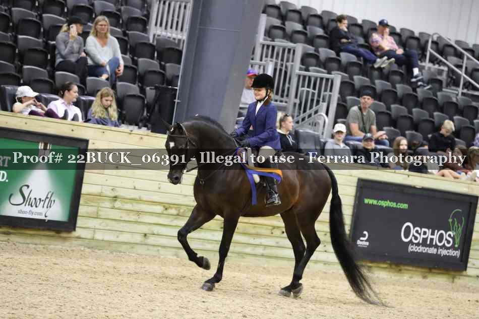 Proof 22BUCK_06391