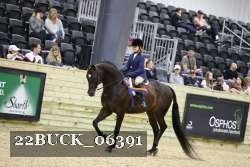 22BUCK_06391 proof