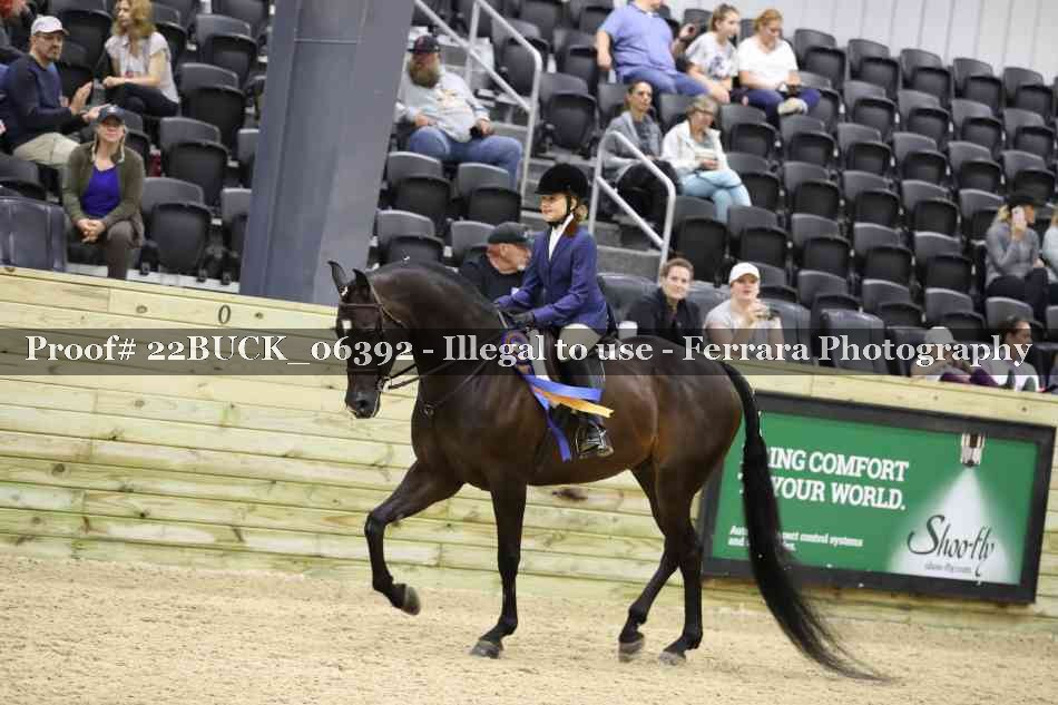 Proof 22BUCK_06392