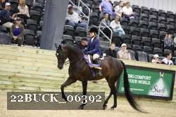 22BUCK_06392 proof
