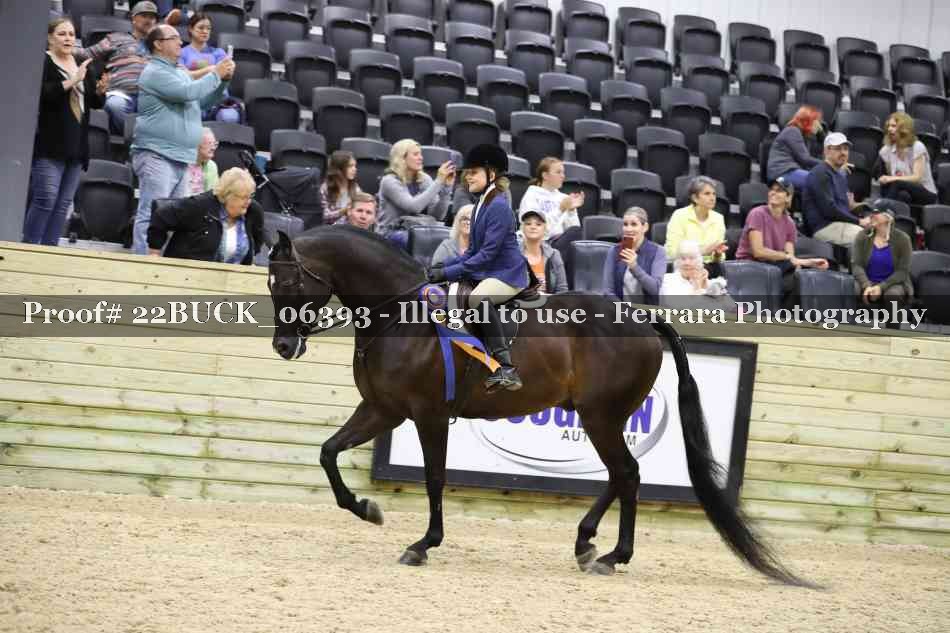 Proof 22BUCK_06393