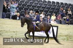 22BUCK_06393 proof