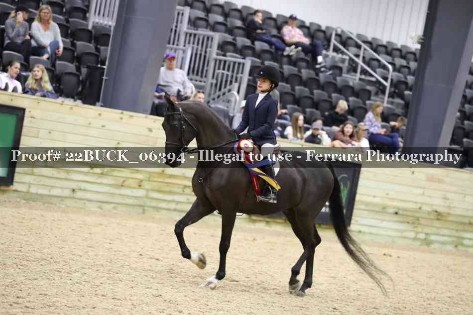 Proof 22BUCK_06394
