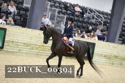 22BUCK_06394 proof
