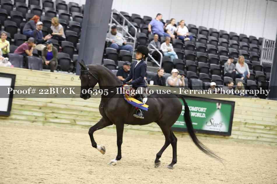 Proof 22BUCK_06395
