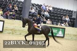 22BUCK_06395 proof