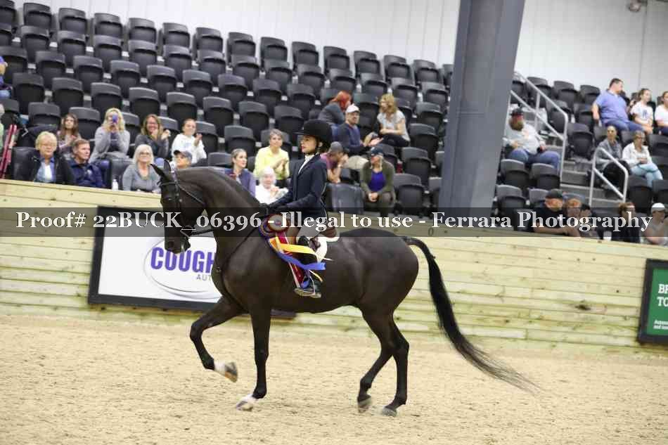 Proof 22BUCK_06396