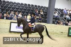 22BUCK_06396 proof