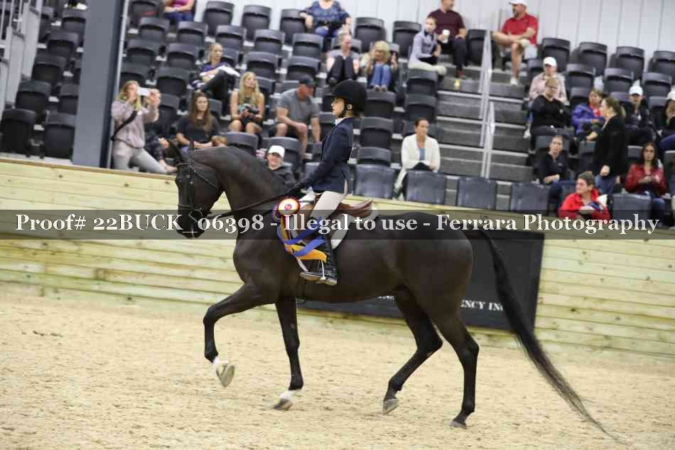 Proof 22BUCK_06398
