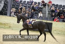 22BUCK_06398 proof