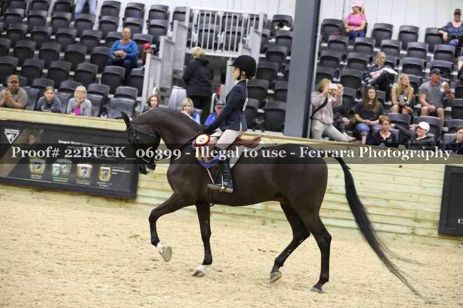 Proof 22BUCK_06399