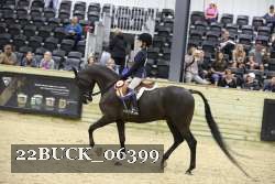 22BUCK_06399 proof