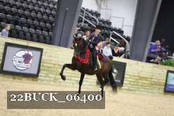22BUCK_06400 proof