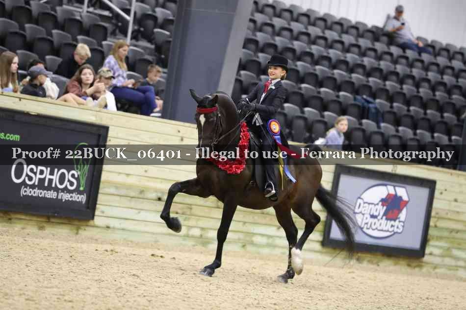 Proof 22BUCK_06401