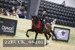 22BUCK_06401 proof