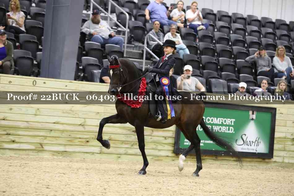 Proof 22BUCK_06403