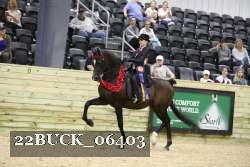 22BUCK_06403 proof