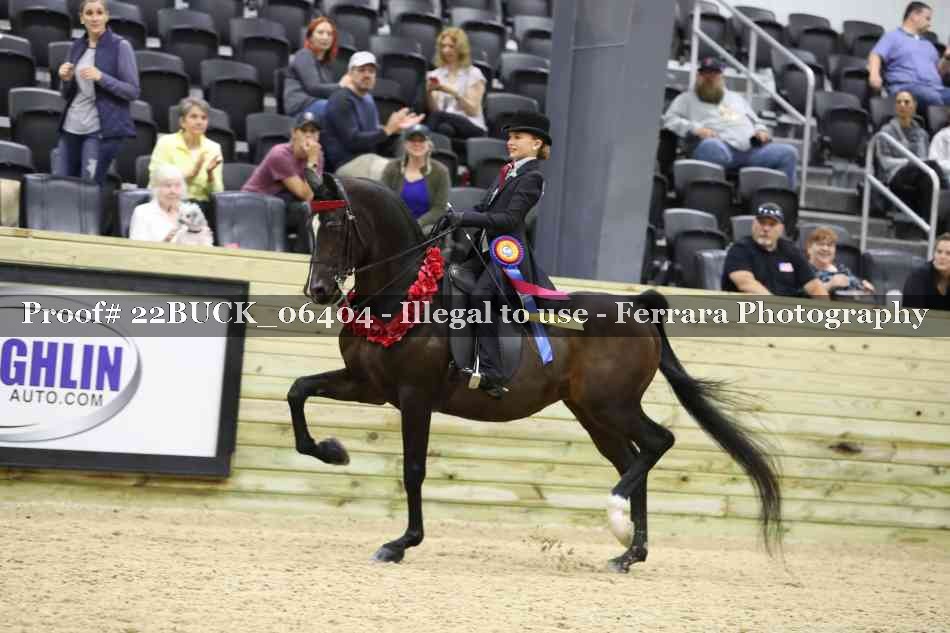 Proof 22BUCK_06404