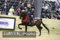 22BUCK_06404 proof