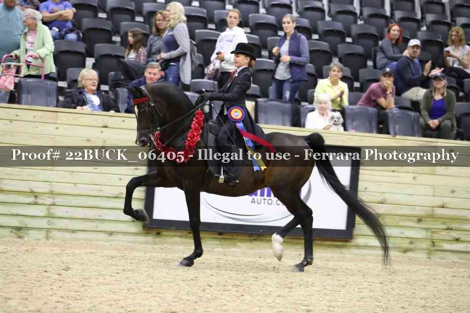 Proof 22BUCK_06405